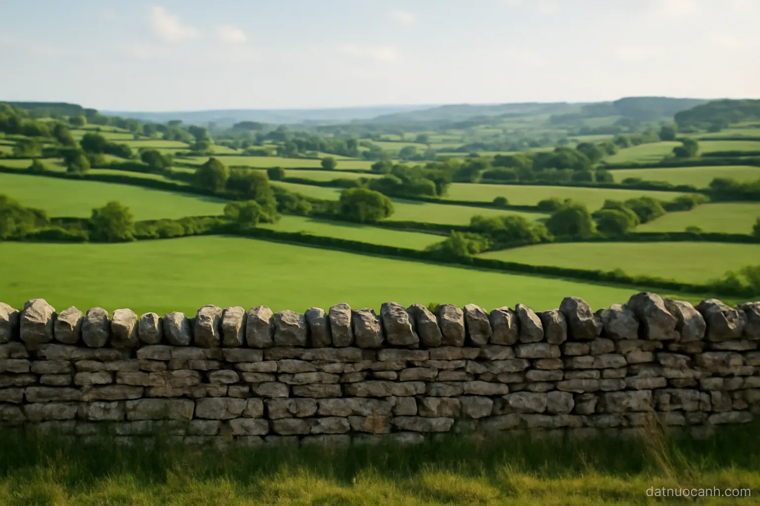 Green fields divided by hedgerows with a stone wall in foreground, rolling landscape, no text